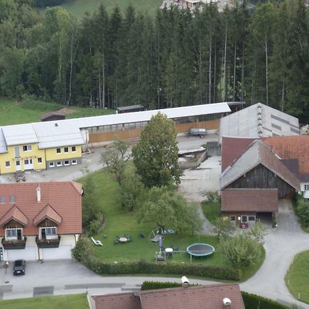 Ferienhof Kehlbauer Hof bei Salzburg Buitenkant foto