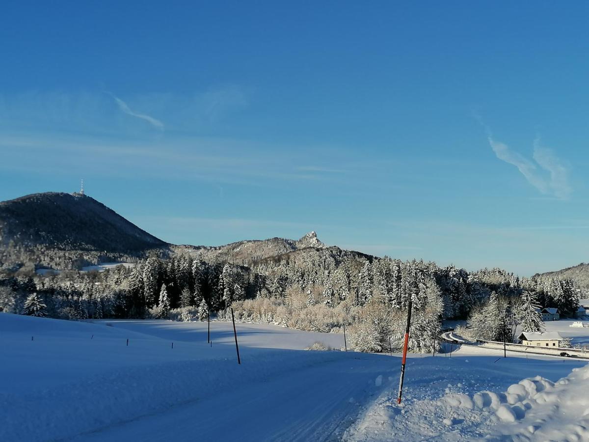 Ferienhof Kehlbauer Hof bei Salzburg Buitenkant foto