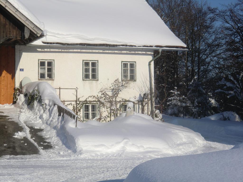 Ferienhof Kehlbauer Hof bei Salzburg Buitenkant foto